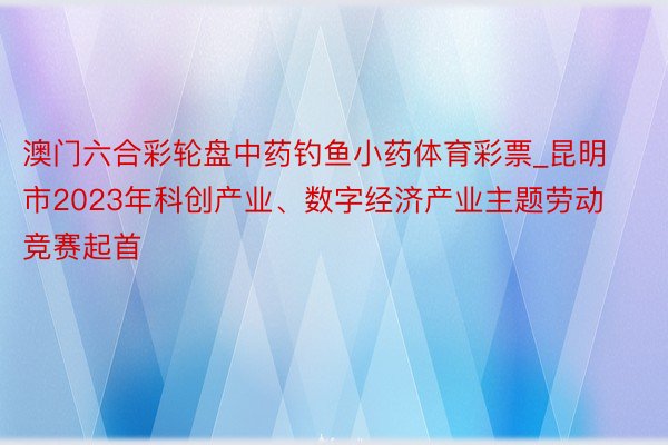 澳门六合彩轮盘中药钓鱼小药体育彩票_昆明市2023年科创产业、数字经济产业主题劳动竞赛起首