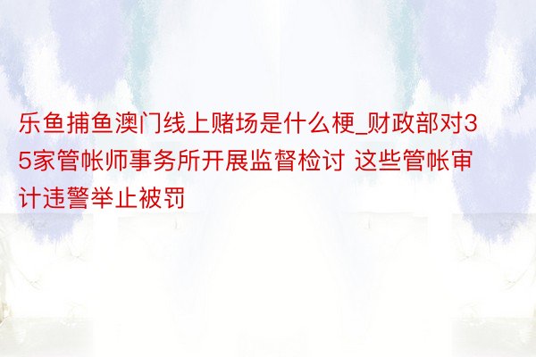 乐鱼捕鱼澳门线上赌场是什么梗_财政部对35家管帐师事务所开展监督检讨 这些管帐审计违警举止被罚