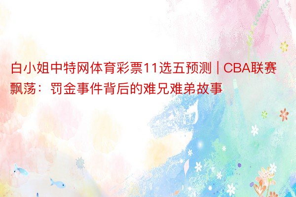 白小姐中特网体育彩票11选五预测 | CBA联赛飘荡：罚金事件背后的难兄难弟故事